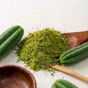 San Pedro Cactus Powder – Fresh Huachuma / Wachuma (Trichocereus Pachanoi) – Worldwide Shipping